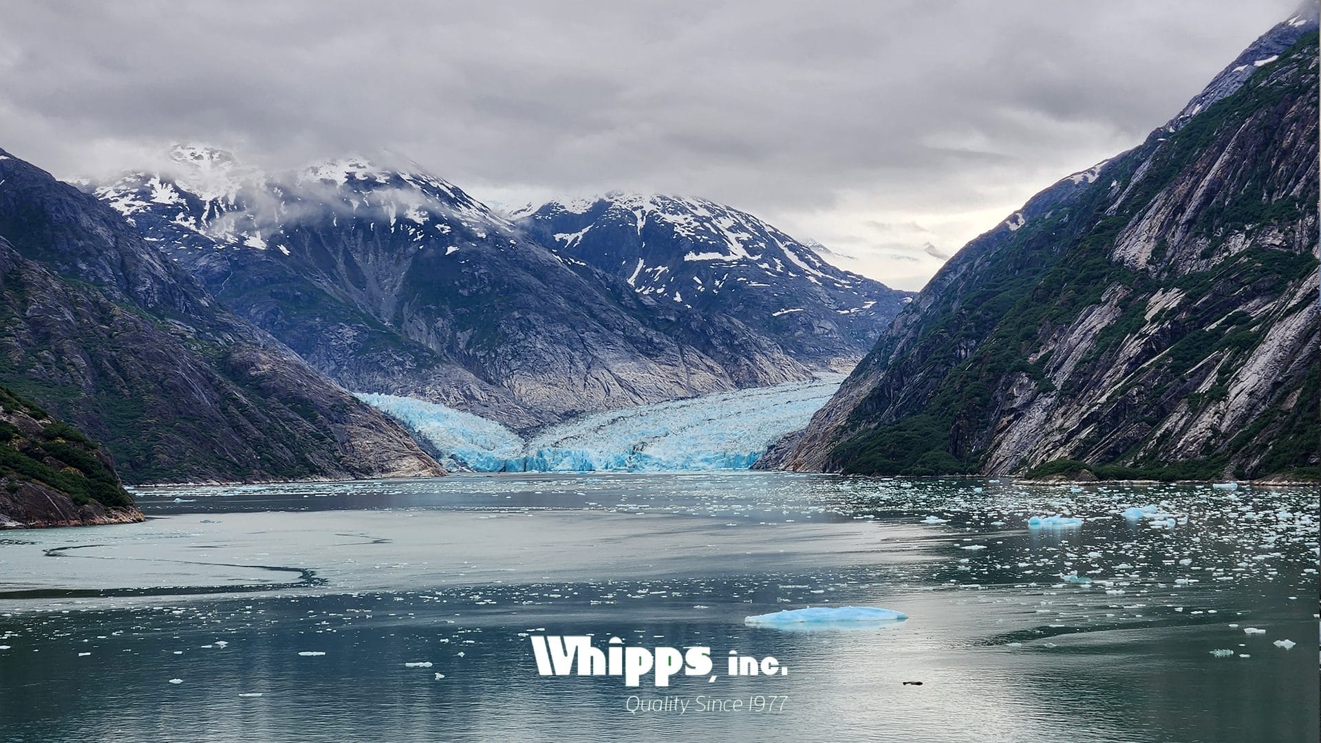 A glacier flowing into a calm body of water surrounded by rugged mountains, with floating icebergs scattered across the surface.