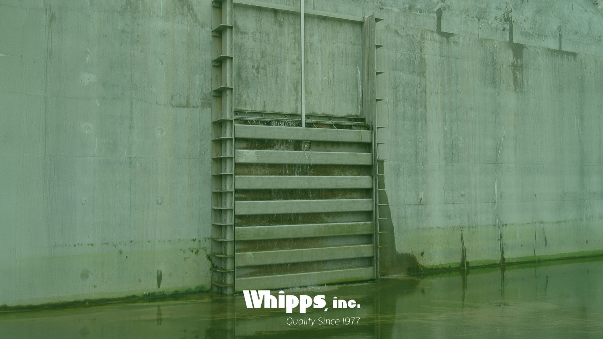 Whipps, Inc. 900 Series Stainless Steel Slide Gate installed at a water treatment facility.