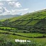 Fields of Agriculture and Ways to Innovate Irrigation