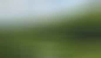Fields of Agriculture and Ways to Innovate Irrigation