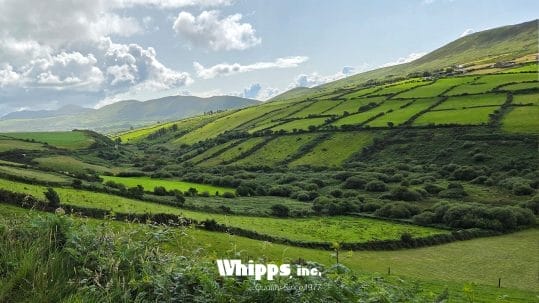 Fields of Agriculture and Ways to Innovate Irrigation