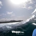 Whipps, Inc. video Beyond Standard Solutions: Custom-Engineered Water Control