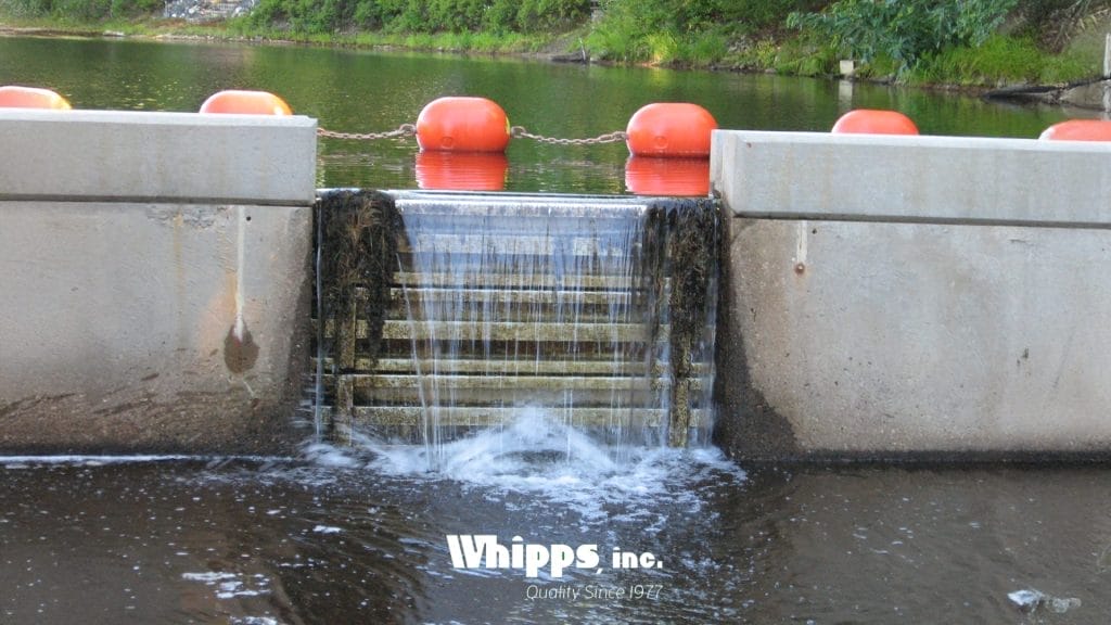 Custom Sluice Gate Solutions From Whipps, Inc. for Fish Passage and Sorting Systems 2