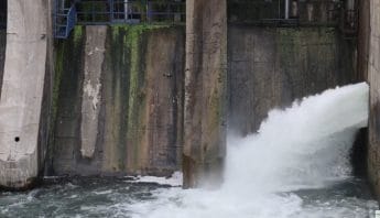 Flow Control in Motion: Inside Whipps Stainless Steel Valves