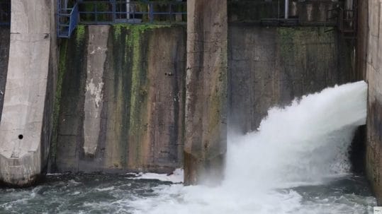 Flow Control in Motion: Inside Whipps Stainless Steel Valves