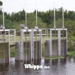 How Water Control Supports Healthy Ecosystems