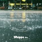 Supporting Municipal Stormwater Systems